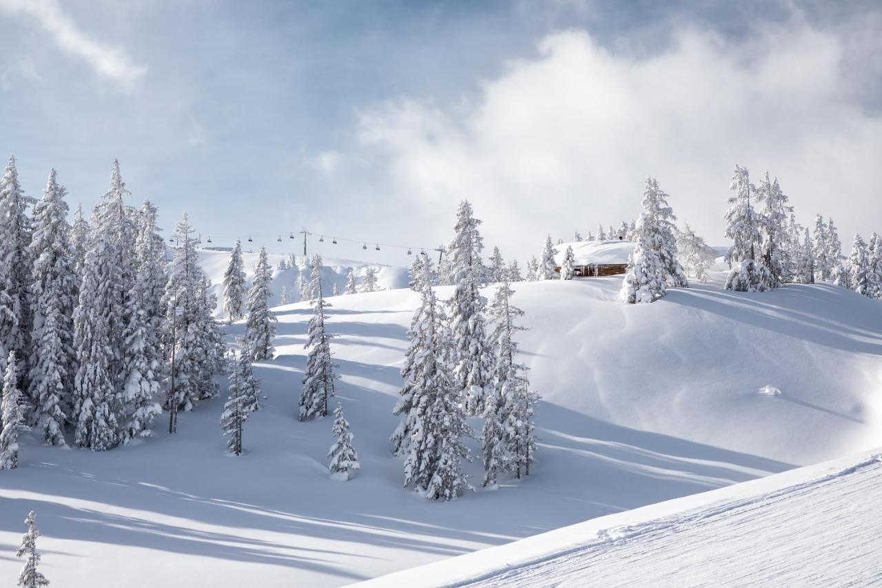 Apartments Niederseer Saalbach-Hinterglemm Eksteriør billede